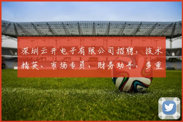 深圳云开电子有限公司招聘，技术精英、市场专员、财务助手，多重职位等你来